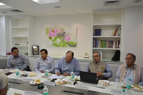 DPG Roundtable series on India's economy "Can the elephant jump?" - Pic 4